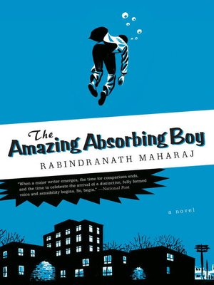 cover image of The Amazing Absorbing Boy